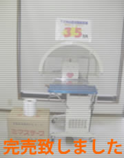 全体写真