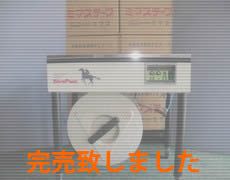 全体写真